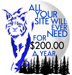Blue Lynx Design Premium Site Hosting for $200.00 a year.