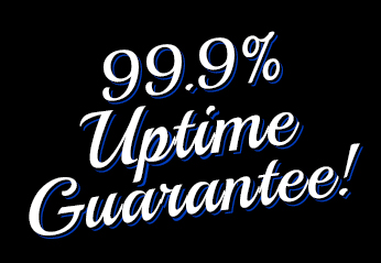 99.9% Uptime Guarantee on Premium Web Hosting from Blue Lynx Design